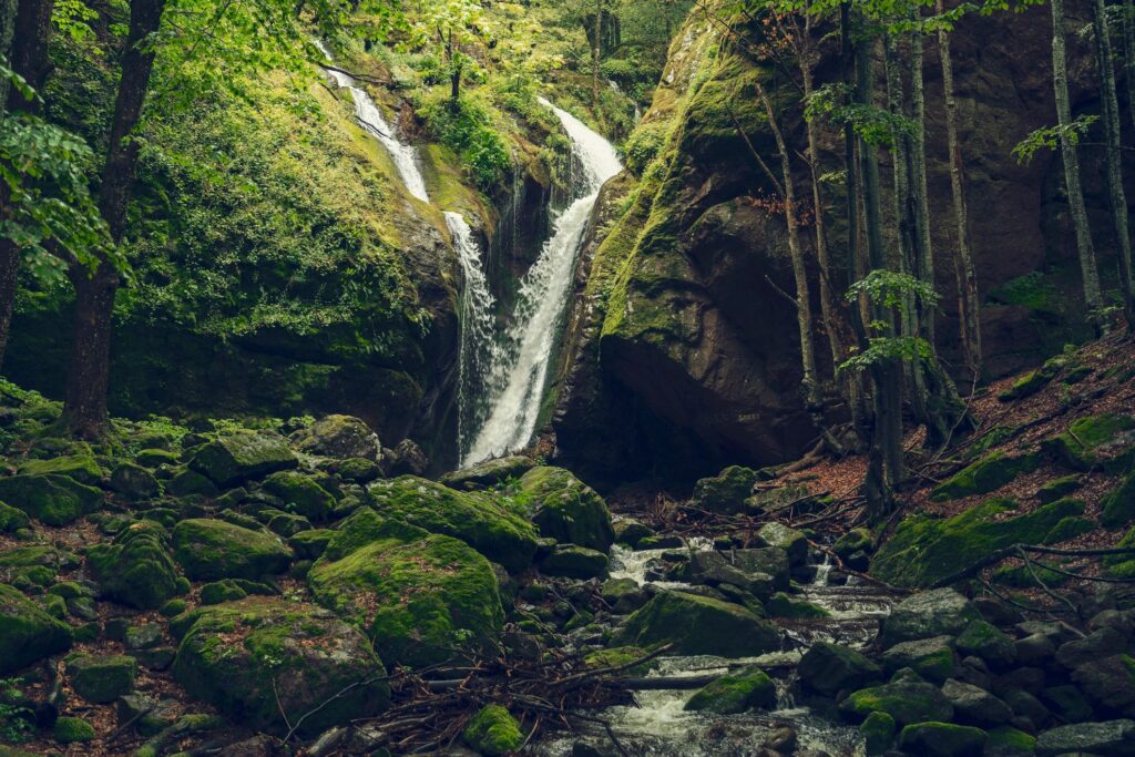 Majestic Waterfall In Lush Green Forest. Scenic Nature