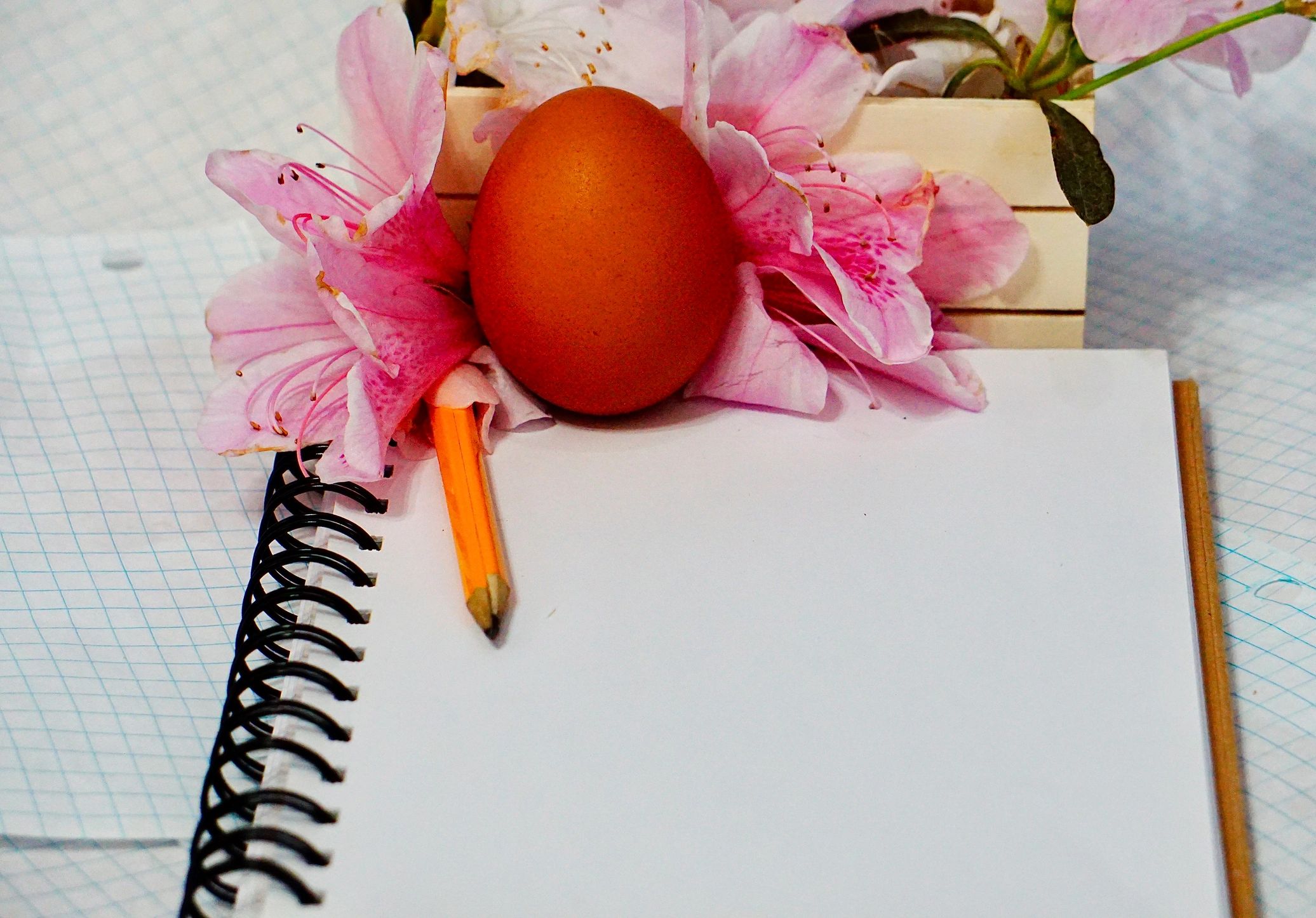Creative stationery and notebook arranged for handmade design work